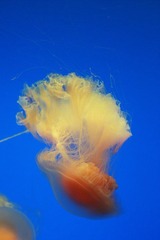 IMG_0283_1.JPG