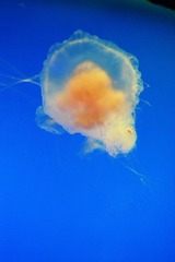 IMG_0289.JPG