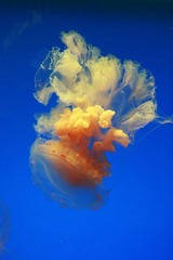 IMG_0290_1.JPG