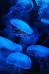 IMG_0315.JPG