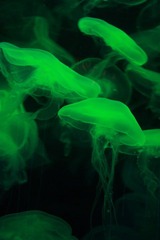 IMG_0316_1.JPG
