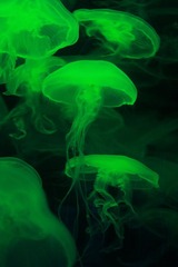 IMG_0318.JPG