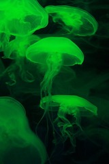 IMG_0318_1.JPG