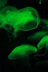 IMG_0320.JPG