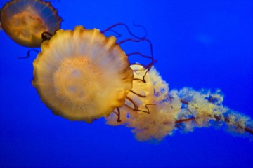 IMG_0338.jpg