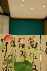 8CFE620C-6EB9-436A-9EFC-D1F0FDADA067/L0/001