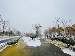 085D418D-102D-441D-B61D-9C8901536B46/L0/001