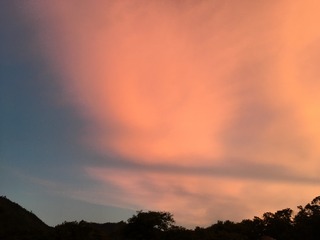 F8936509-00D4-4F99-AA2B-05CE6D01ABF8/L0/001