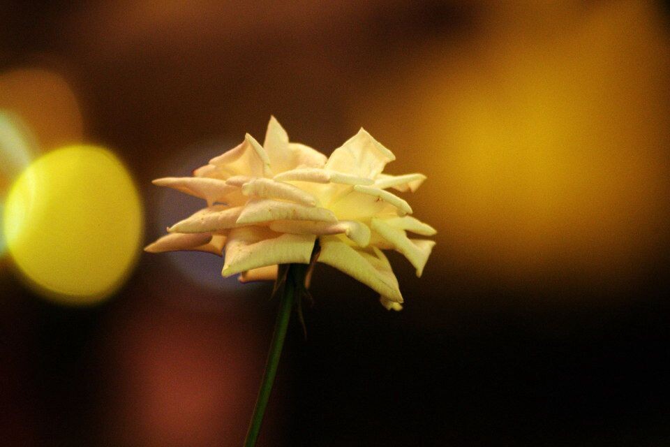 晕<br />
