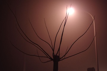 IMGP6476.jpg