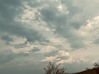 A6553D5B-F5A3-4B7A-B3B6-1BF6D367766C/L0/001