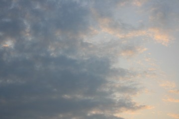 IMG_8608