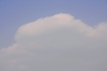 337141B8-894A-43DD-8E65-60A499261B68/L0/001