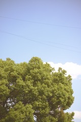 1BB38DA7-08B0-4E7B-841B-2415C2A6B590/L0/001