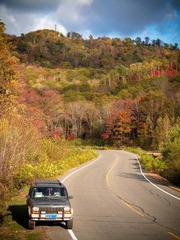 IMG_1124.jpg