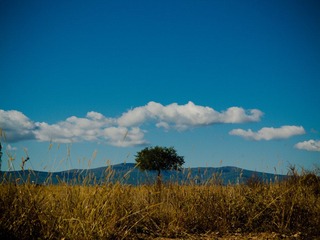 IMG_1206.jpg