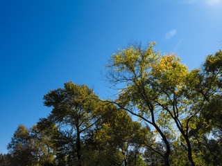 IMG_1210.jpg