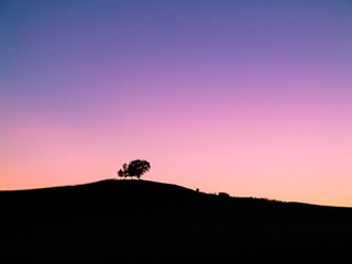 IMG_1228.jpg