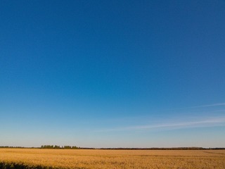 IMG_1301.jpg