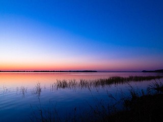 IMG_1309.jpg