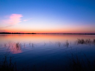 IMG_1310.jpg