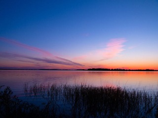 IMG_1313.jpg