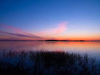 IMG_1315.jpg