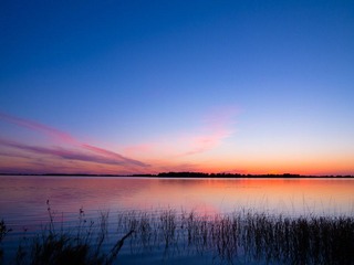 IMG_1317.jpg