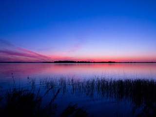IMG_1318.jpg