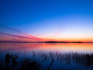 IMG_1319.jpg
