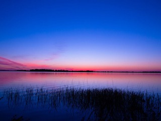 IMG_1320.jpg
