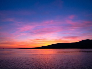 IMG_1338.jpg