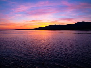 IMG_1342.jpg