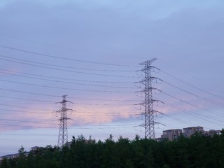 1000027885