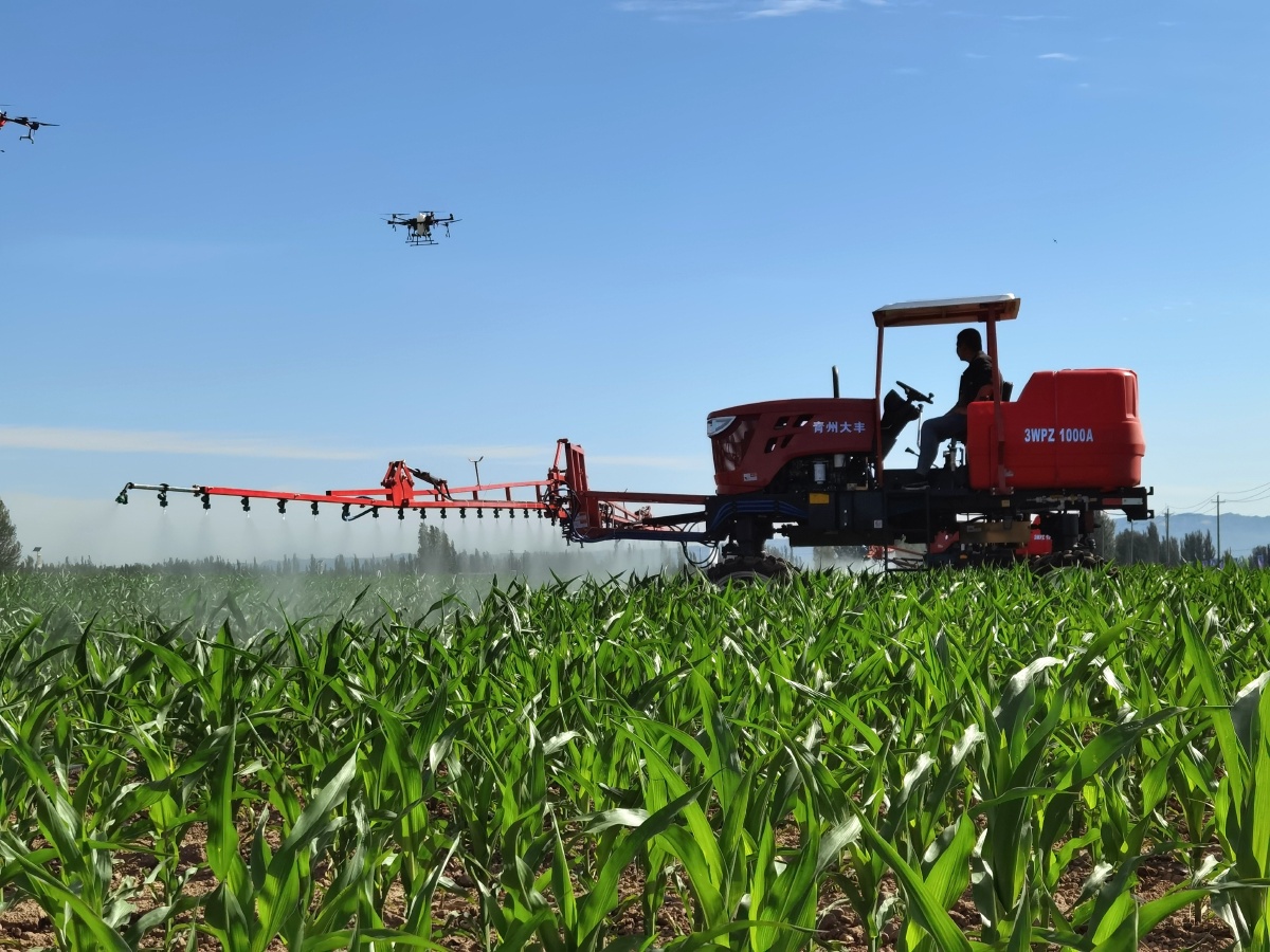 甘肃张掖推进机械耕作助力种业发展