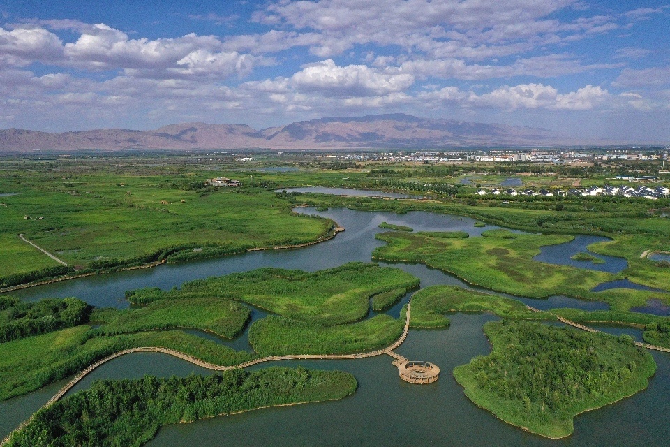 甘肃张掖湿地公园景如画