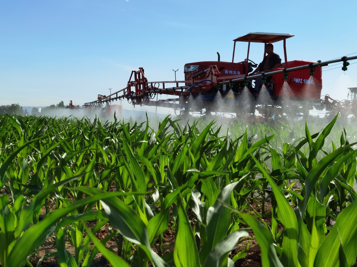 甘肃张掖推进机械耕作助力种业发展