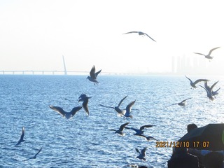 41D972AB-4726-4C16-BDB5-792C99A71482/L0/001