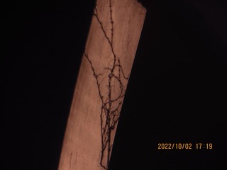 D95BD1AD-3F44-4641-99FD-B8984B525ABB/L0/001