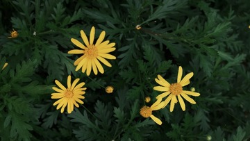 E7F0B847-21DB-4B4B-B6A9-9F3F58CEE967/L0/001