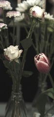 2EBF11C0-1538-4A67-BD06-FFBFB27DA9C2/L0/001