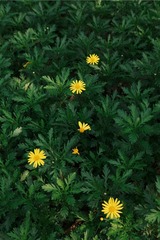 241F3078-FD18-4237-82E6-857161A977D9/L0/001