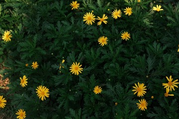 C1F8AEB5-0F32-49A4-9D0D-1E2BB4135D1B/L0/001