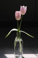 F8F0FAB3-E612-4548-88CE-18822BAAE6D9/L0/001