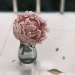 85034993-E518-4AB6-91C8-81E9B7D001FC/L0/001