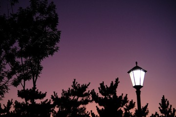 860AB0B5-6B81-4982-98B0-4F0BA68402E8/L0/001