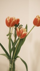 1B6FAB2C-CC9A-4711-A2E7-9FF43804D057/L0/001