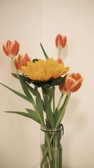 0DE95608-CAD7-4BA5-B5A0-93623D7DDD25/L0/001