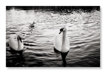 1DE67057-C20A-4A90-8144-7C622A683780/L0/001