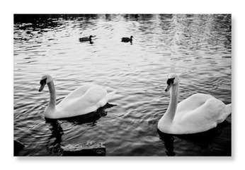 C470C588-DA0B-4423-8D01-716DD0B75FA2/L0/001